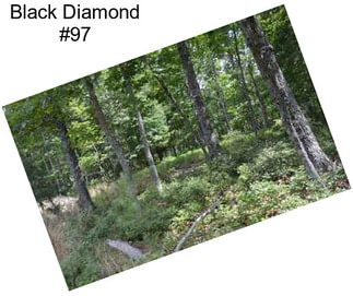 Black Diamond #97