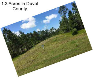 1.3 Acres in Duval County