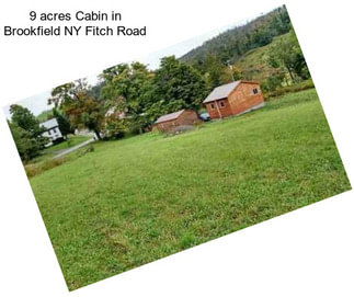 9 acres Cabin in Brookfield NY Fitch Road