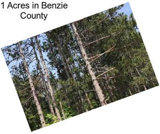 1 Acres in Benzie County