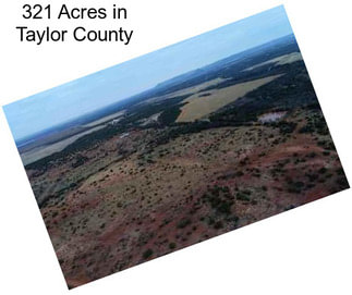 321 Acres in Taylor County