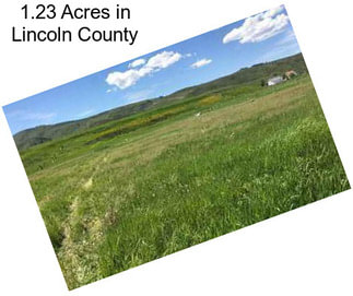 1.23 Acres in Lincoln County