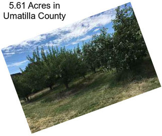 5.61 Acres in Umatilla County