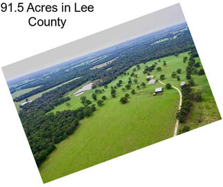 91.5 Acres in Lee County