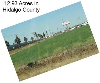 12.93 Acres in Hidalgo County