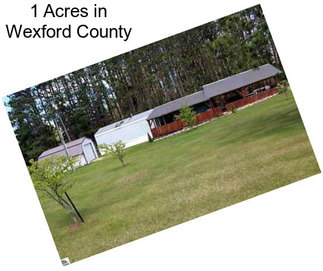 1 Acres in Wexford County