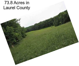 73.8 Acres in Laurel County