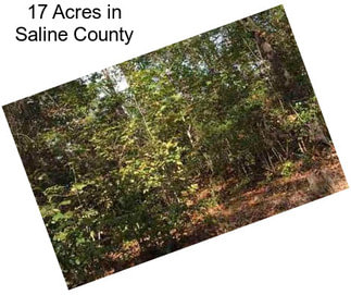 17 Acres in Saline County