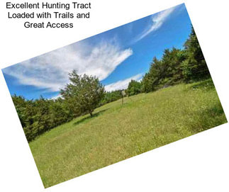 Excellent Hunting Tract Loaded with Trails and Great Access