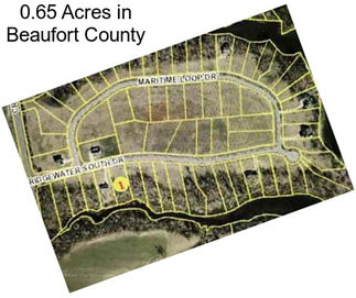 0.65 Acres in Beaufort County