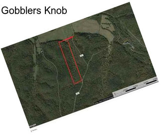 Gobblers Knob