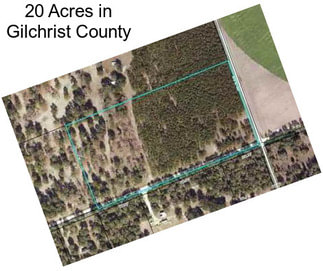 20 Acres in Gilchrist County