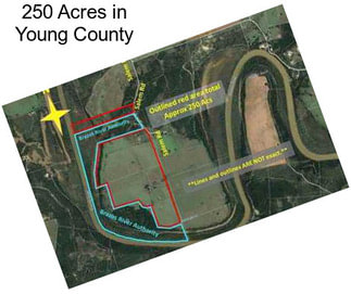 250 Acres in Young County