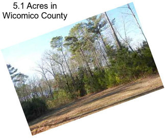 5.1 Acres in Wicomico County