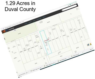 1.29 Acres in Duval County