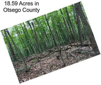 18.59 Acres in Otsego County