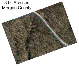 8.56 Acres in Morgan County