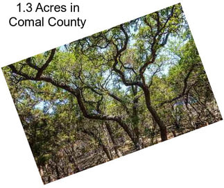 1.3 Acres in Comal County