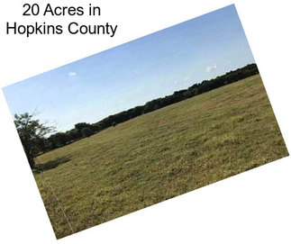 20 Acres in Hopkins County