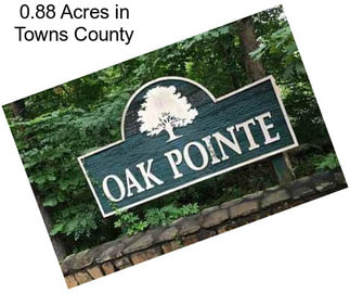 0.88 Acres in Towns County