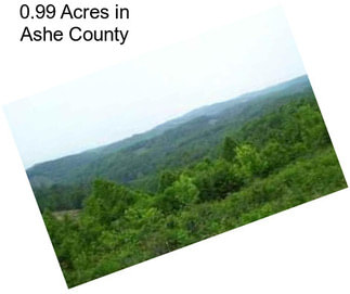 0.99 Acres in Ashe County