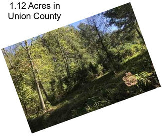 1.12 Acres in Union County