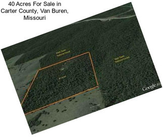 40 Acres For Sale in Carter County, Van Buren, Missouri