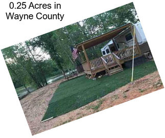 0.25 Acres in Wayne County