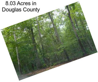 8.03 Acres in Douglas County
