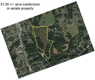 51.50 +/- acre subdivision or estate property