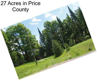 27 Acres in Price County