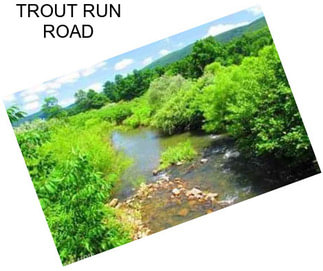 TROUT RUN ROAD