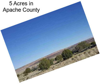 5 Acres in Apache County