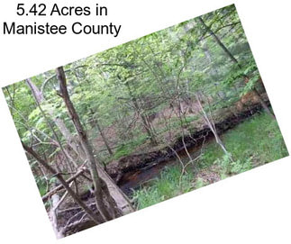 5.42 Acres in Manistee County