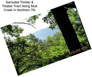 Secluded Timber & Tillable Tract Along Mud Creek In Northern TN