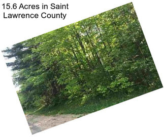 15.6 Acres in Saint Lawrence County