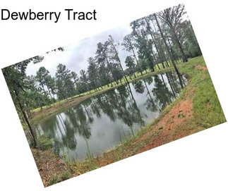 Dewberry Tract