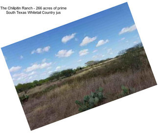 The Chilipitin Ranch - 266 acres of prime South Texas Whitetail Country jus