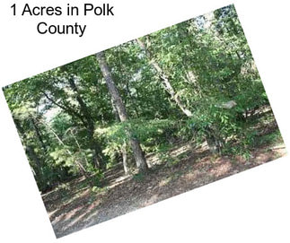 1 Acres in Polk County