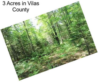 3 Acres in Vilas County