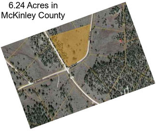 6.24 Acres in McKinley County