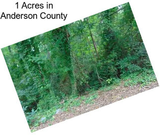 1 Acres in Anderson County