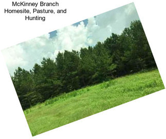 McKinney Branch Homesite, Pasture, and Hunting