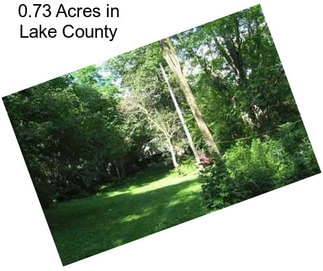 0.73 Acres in Lake County