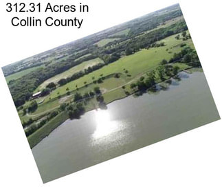 312.31 Acres in Collin County