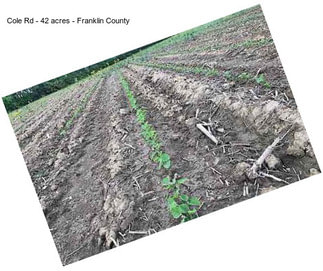 Cole Rd - 42 acres - Franklin County