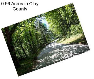 0.99 Acres in Clay County