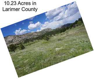 10.23 Acres in Larimer County