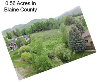 0.56 Acres in Blaine County