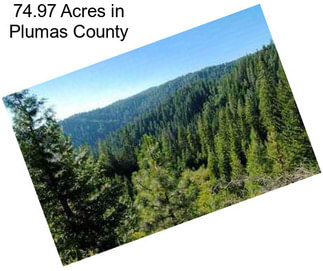 74.97 Acres in Plumas County